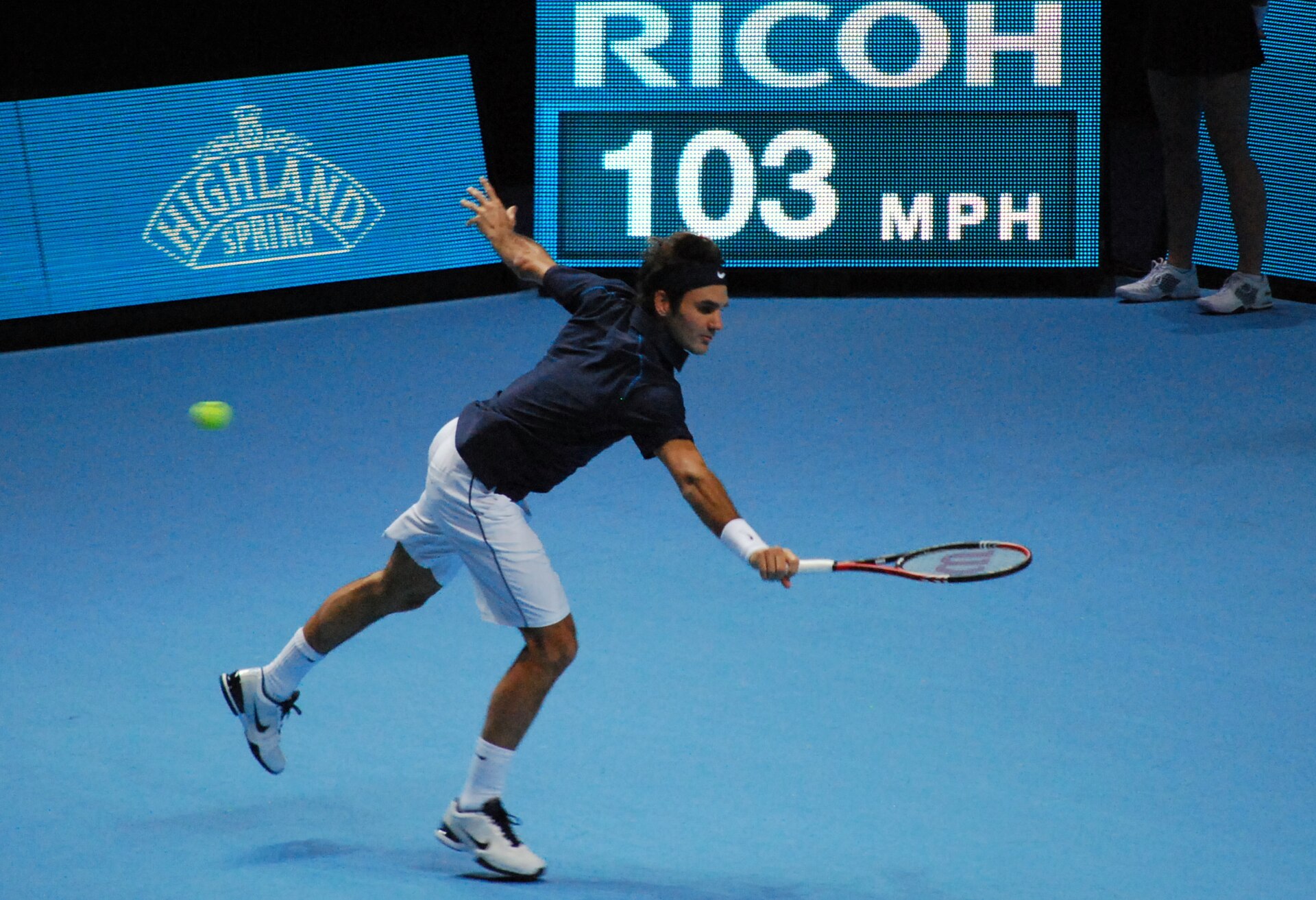 Roger Federer — David Ferrer